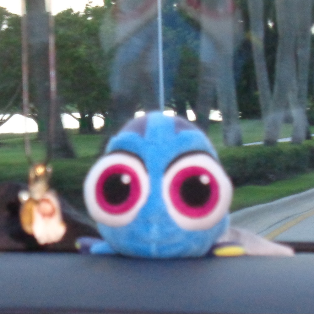 Meet your Posher, Nicole